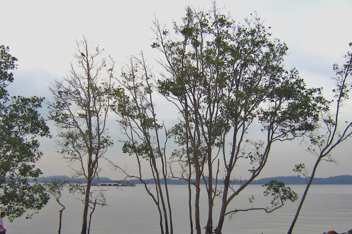 Pasir Ris Park, Singapore
